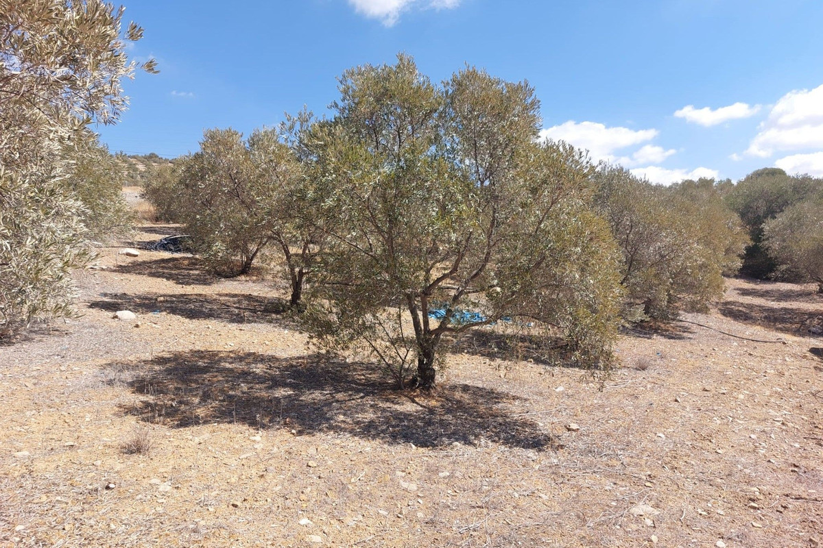 Se vende Terreno Rustico  en Costa Del Sol, Málaga, España