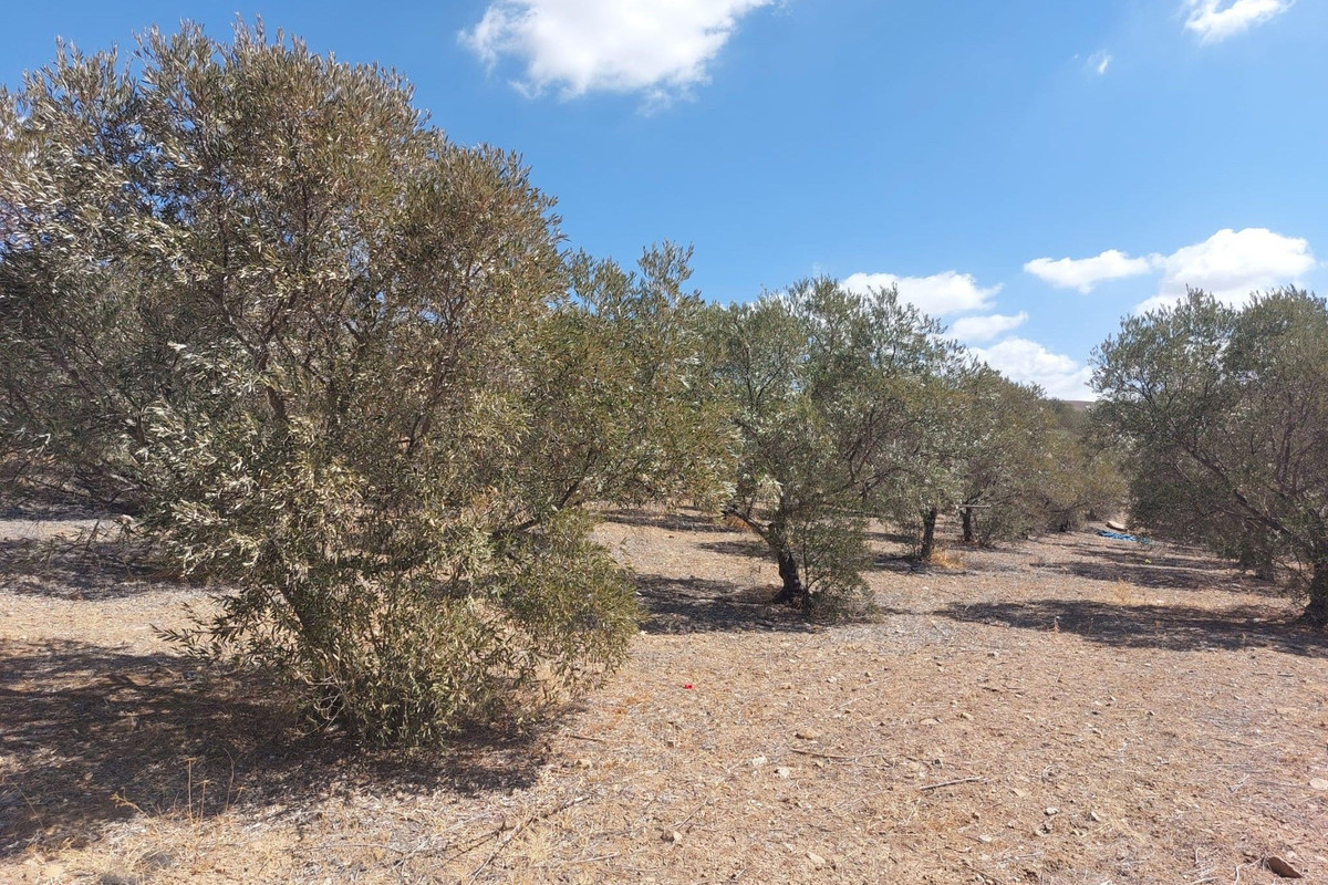 Se vende Terreno Rustico  en Costa Del Sol, Málaga, España