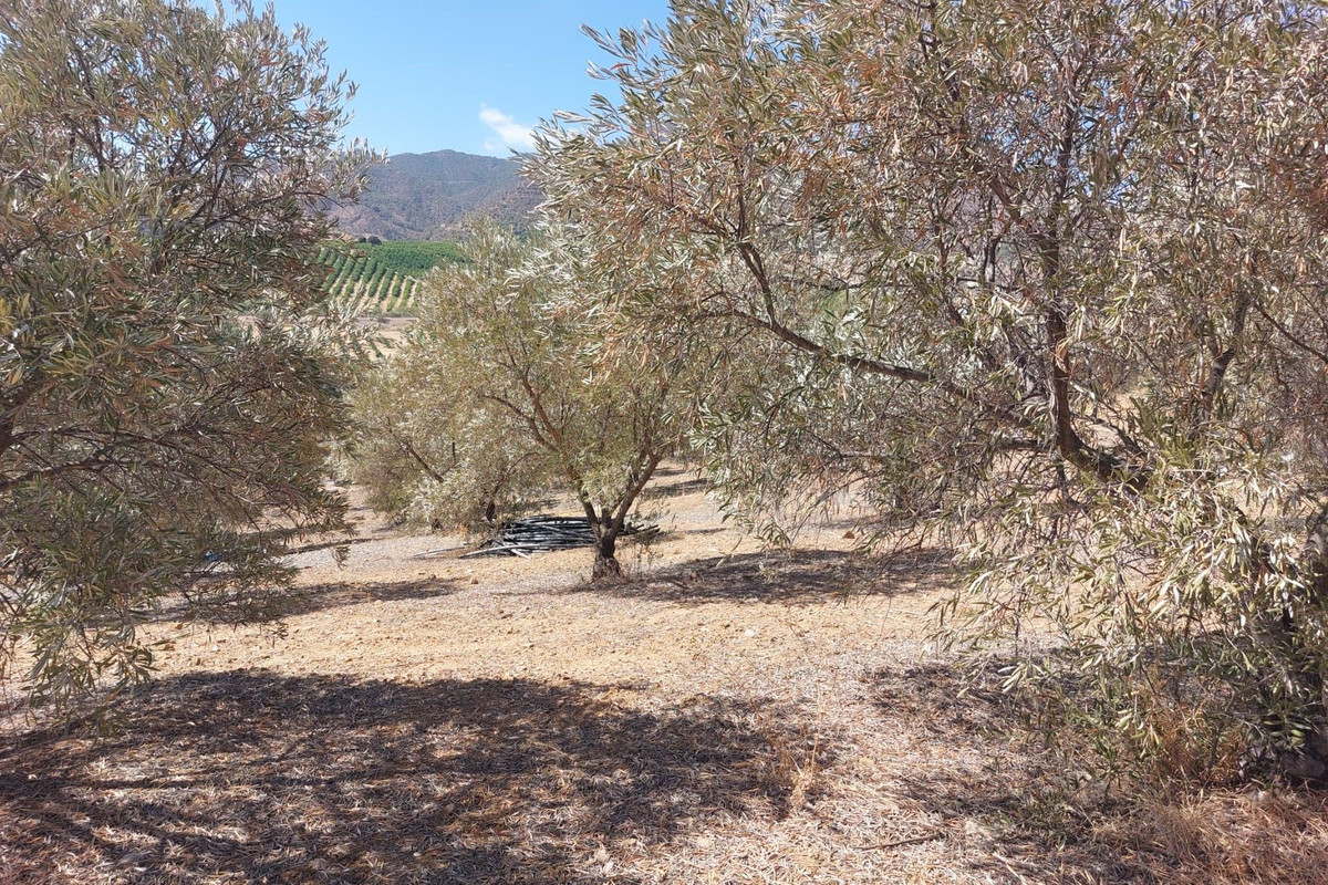 Se vende Terreno Rustico  en Costa Del Sol, Málaga, España