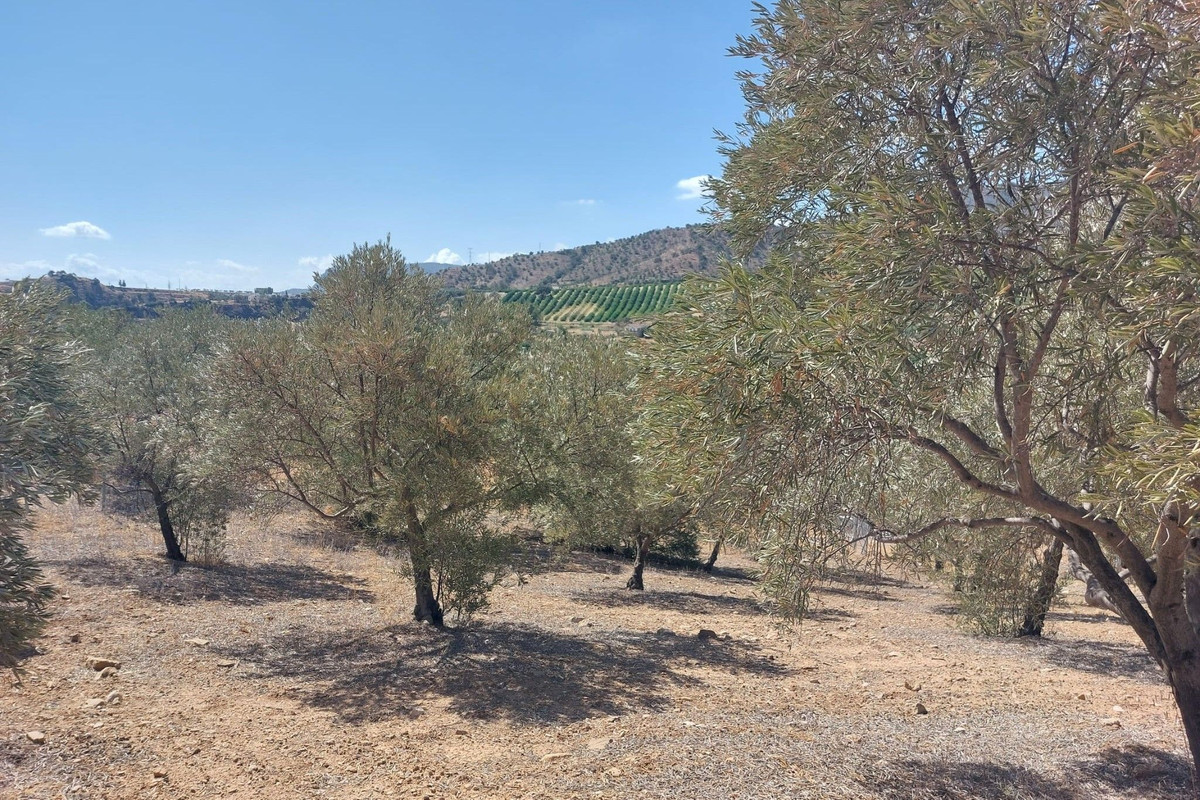 Se vende Terreno Rustico  en Costa Del Sol, Málaga, España