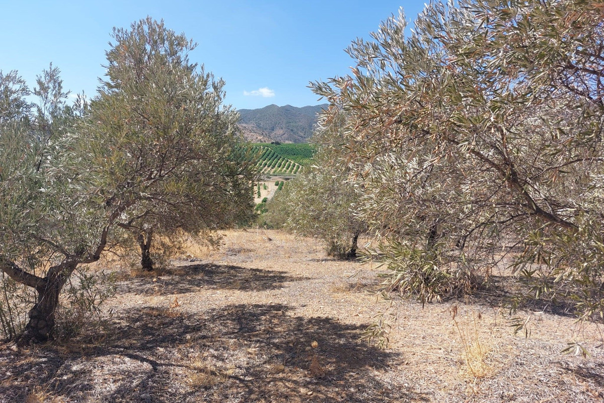 Se vende Terreno Rustico  en Costa Del Sol, Málaga, España