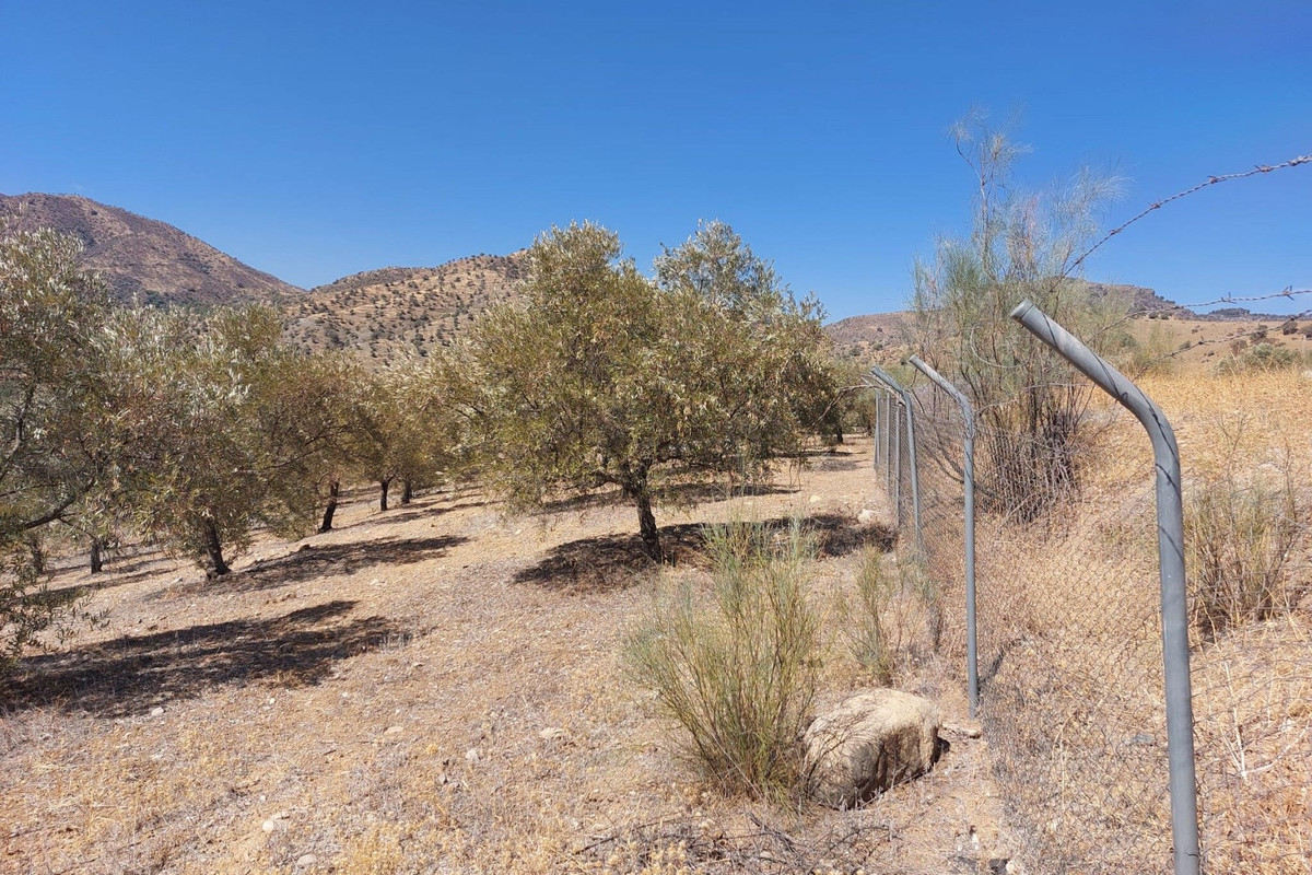 Se vende Terreno Rustico  en Costa Del Sol, Málaga, España