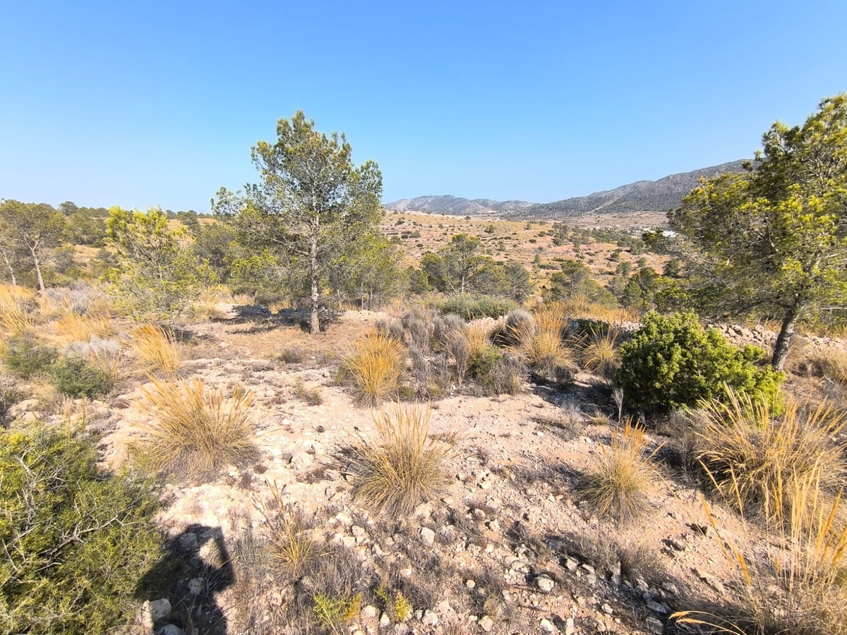 Se vende Terreno Rustico  en Costa Blanca, Alicante, España
