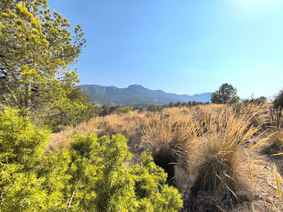 Se vende Terreno Rustico  en Costa Blanca, Alicante, España