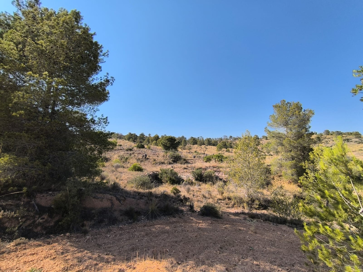 Se vende Terreno Rustico  en Costa Blanca, Alicante, España
