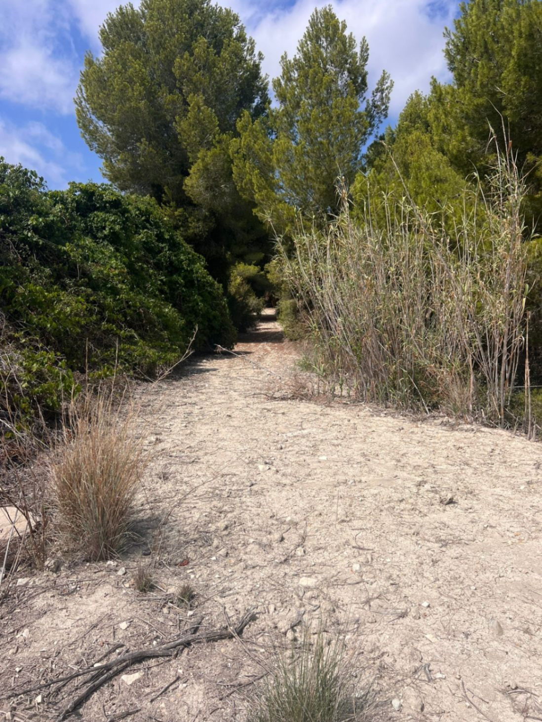 Plots for sale in Benissa Costa Blanca, Alicante, Spain