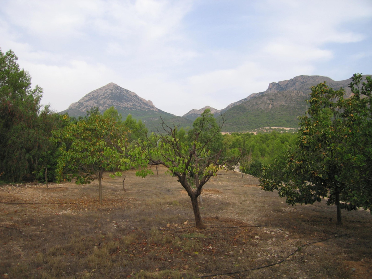 10 Bed Townhouse for sale in La Nucia Costa Blanca, Alicante, Spain