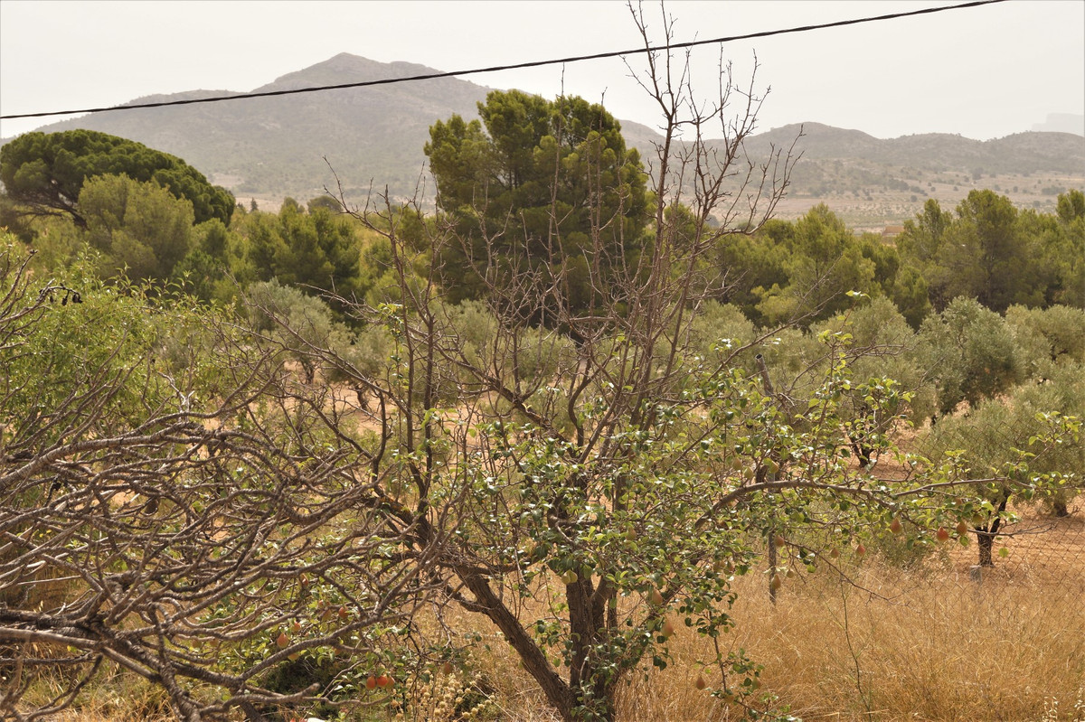 Se vende Finca - Cortijo de 7 dormitorios en Costa Blanca, Alicante, España
