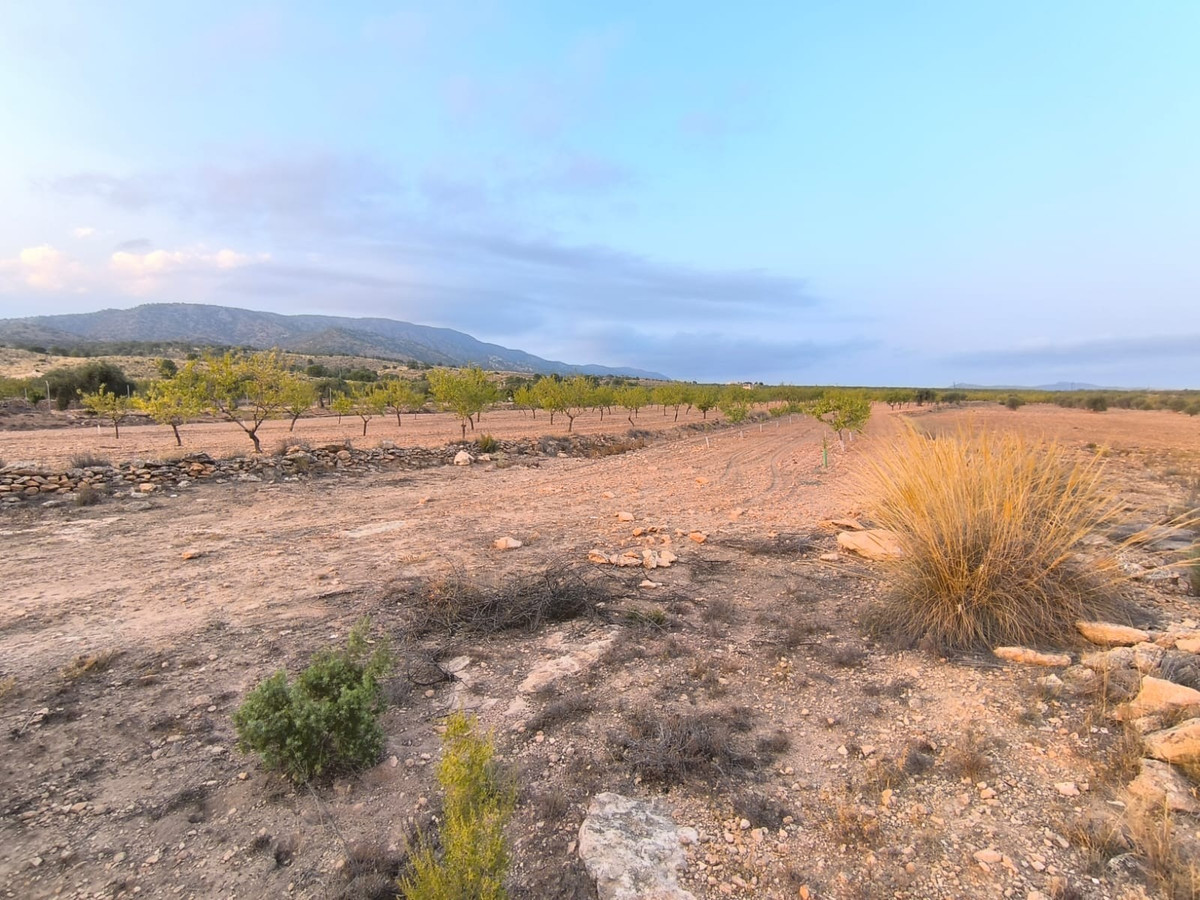 Se vende Terreno Rustico  en Costa Blanca, Alicante, España