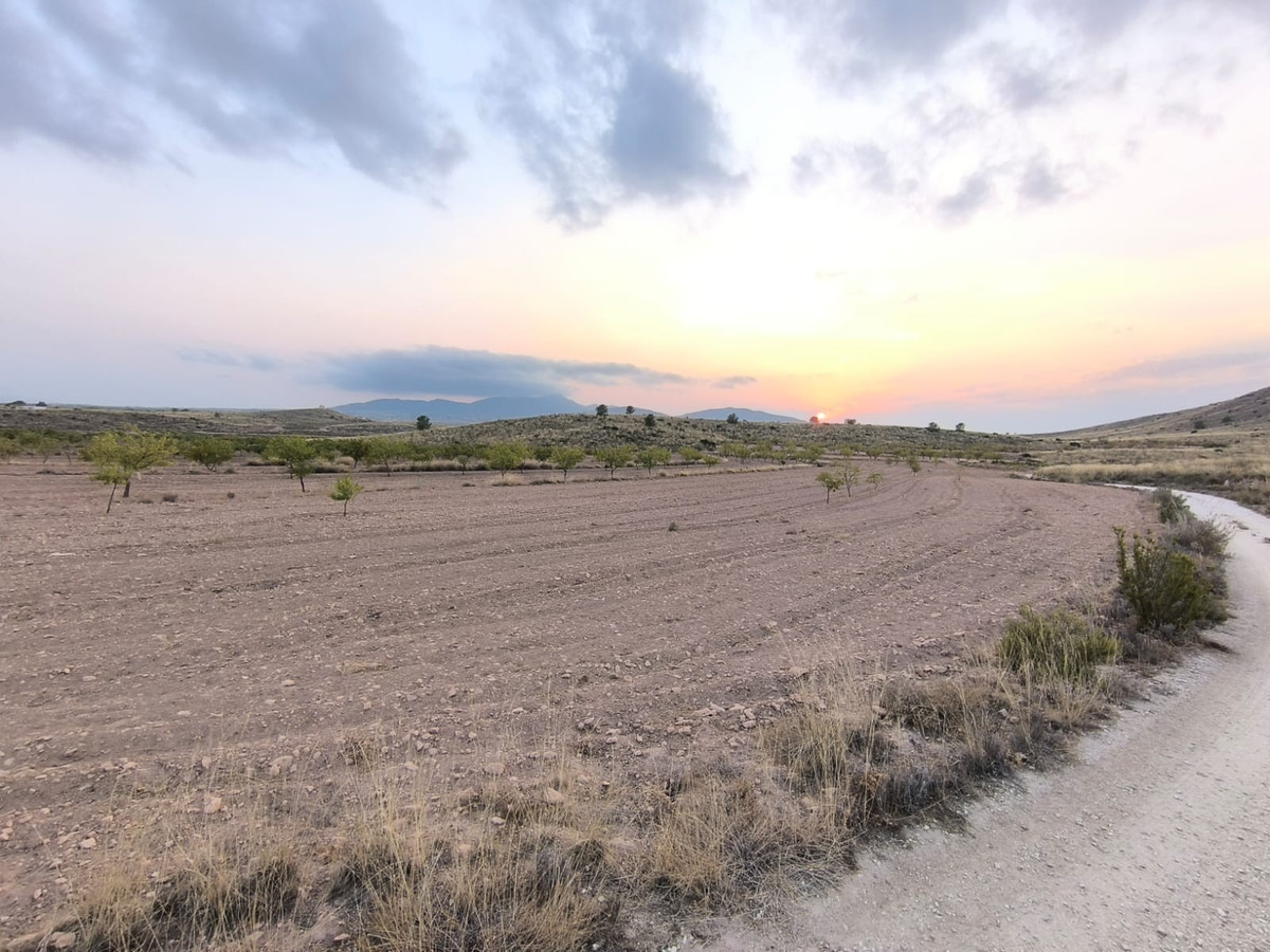 Se vende Terreno Rustico  en Costa Blanca, Alicante, España