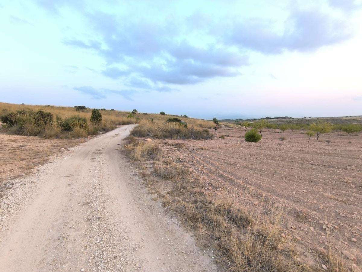Se vende Terreno Rustico  en Costa Blanca, Alicante, España