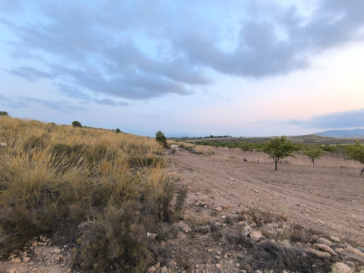 Se vende Terreno Rustico  en Costa Blanca, Alicante, España