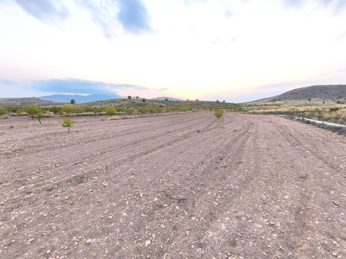 Se vende Terreno Rustico  en Costa Blanca, Alicante, España