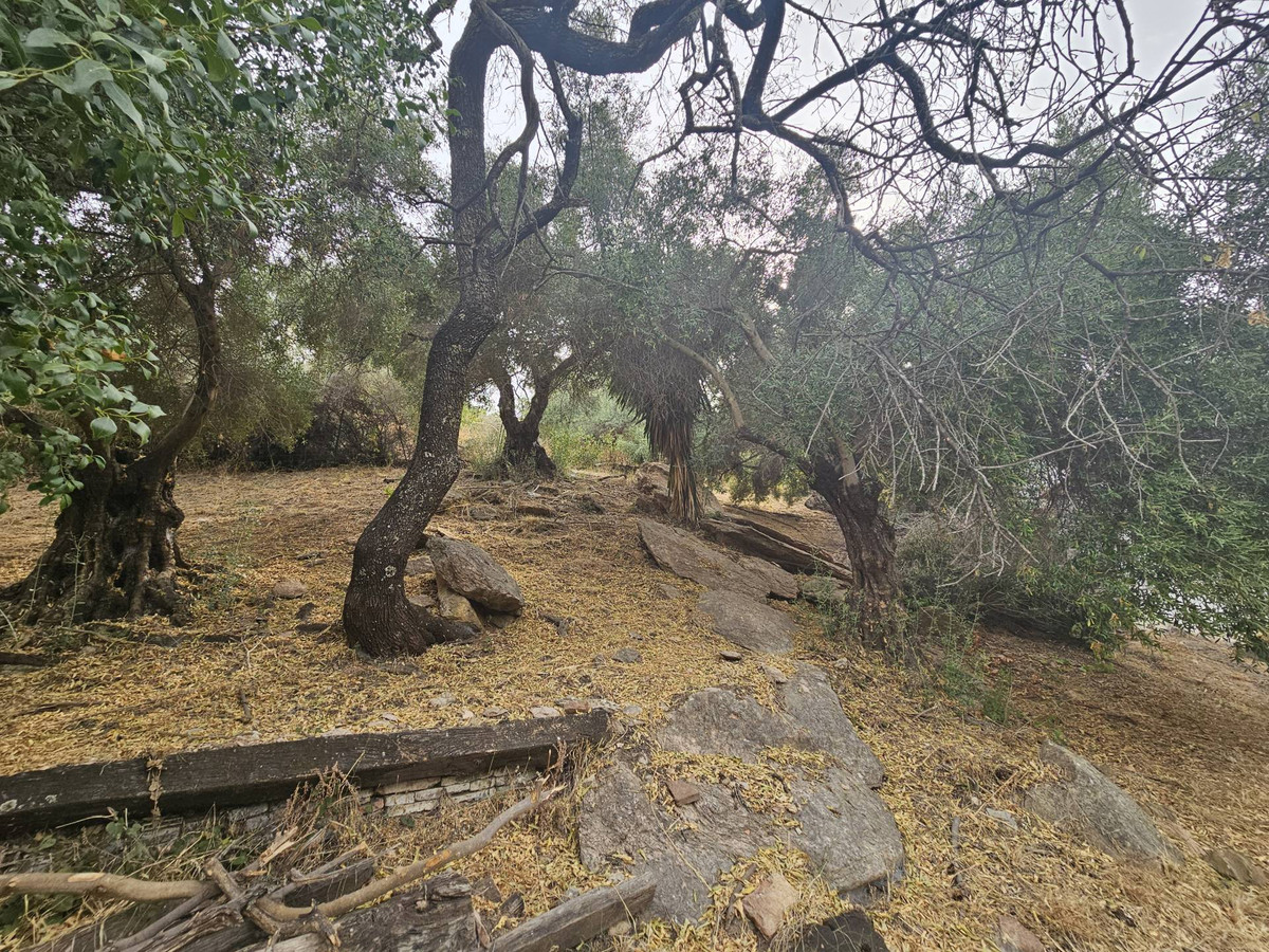 Se vende Finca - Cortijo de 5 dormitorios en Costa Del Sol, Málaga, España