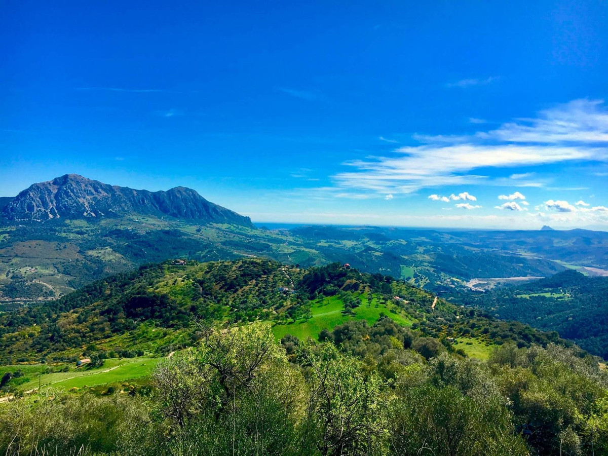 Se vende Finca - Cortijo de 5 dormitorios en Costa Del Sol, Málaga, España