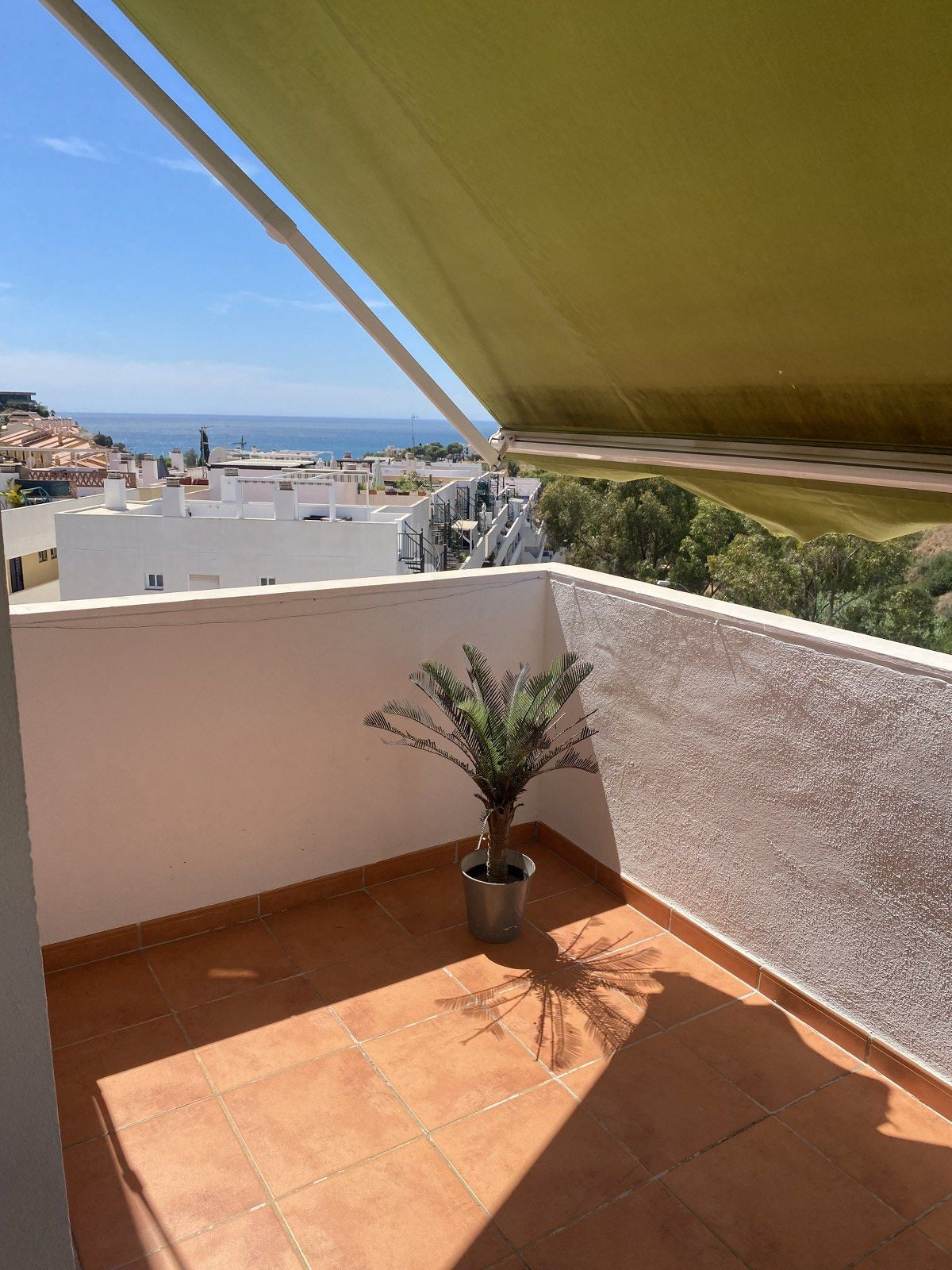 Property 61