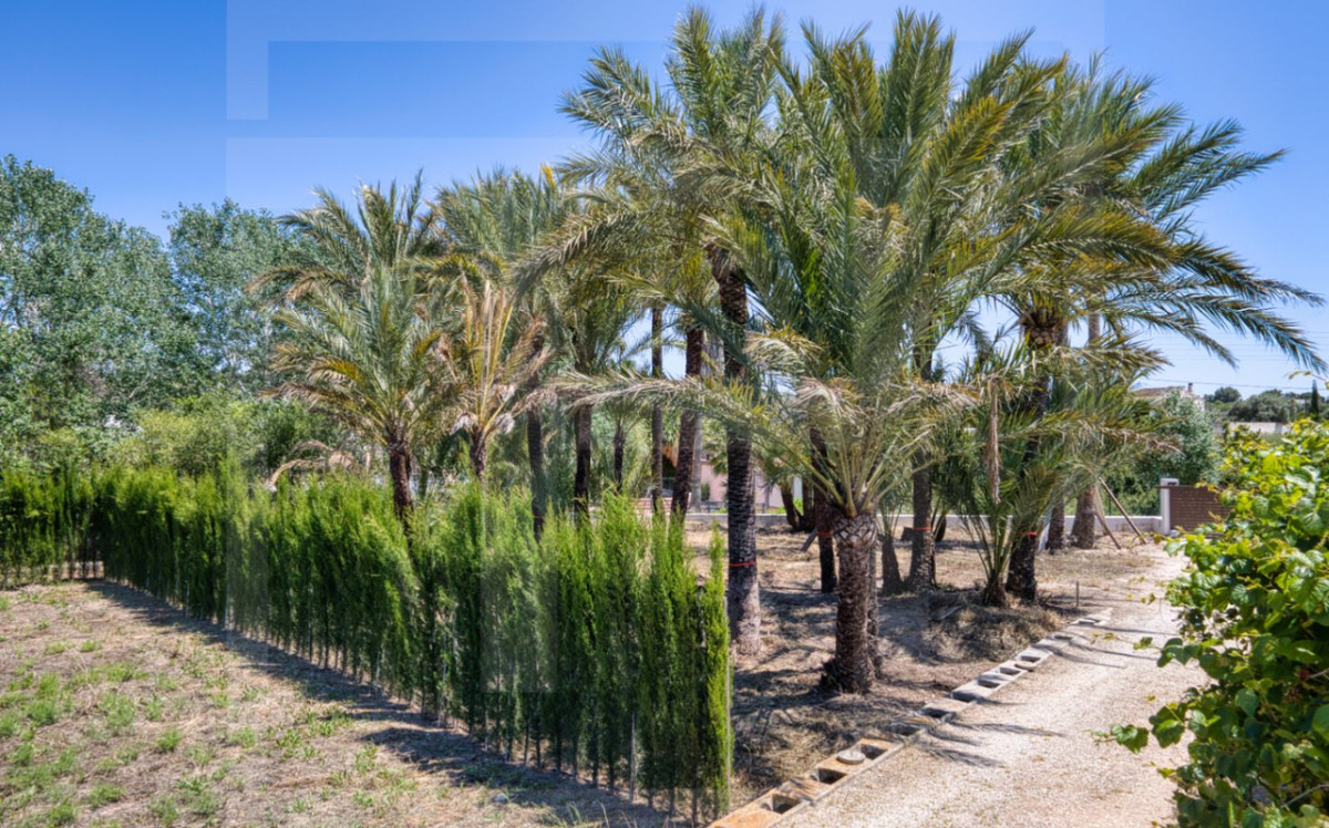 Se vende Finca - Cortijo de 3 dormitorios en Costa Blanca, Alicante, España