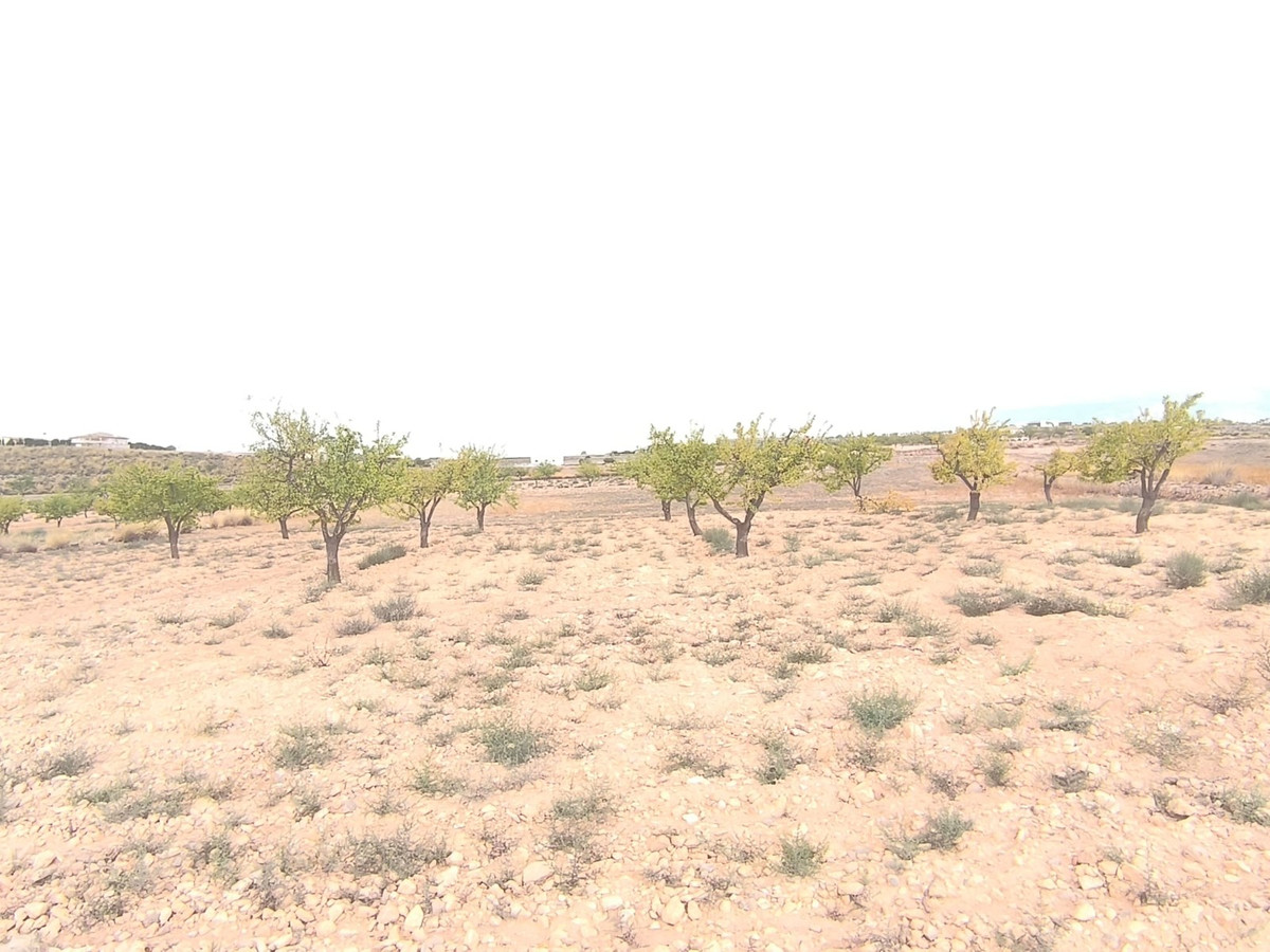 Plots for sale in Pinoso Costa Blanca, Alicante, Spain
