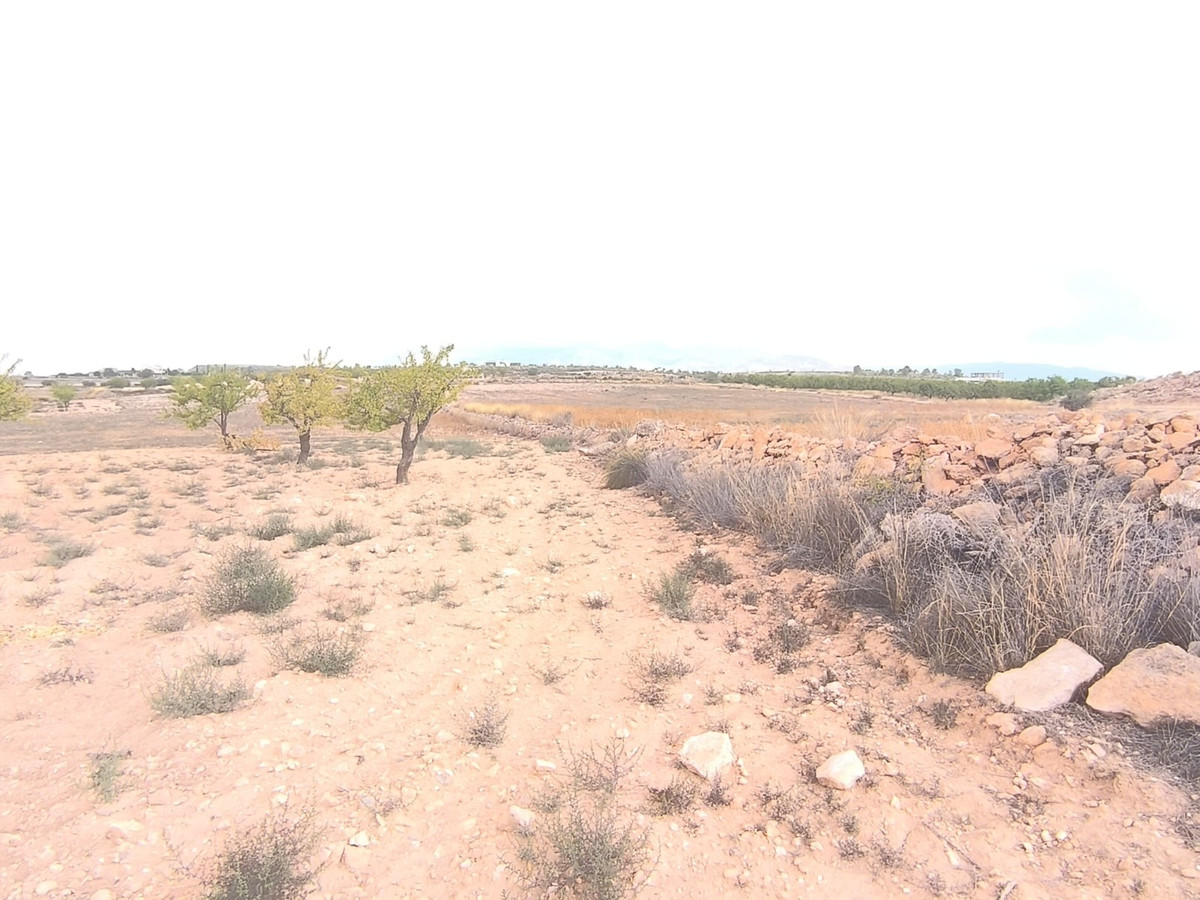 Plots for sale in Pinoso Costa Blanca, Alicante, Spain
