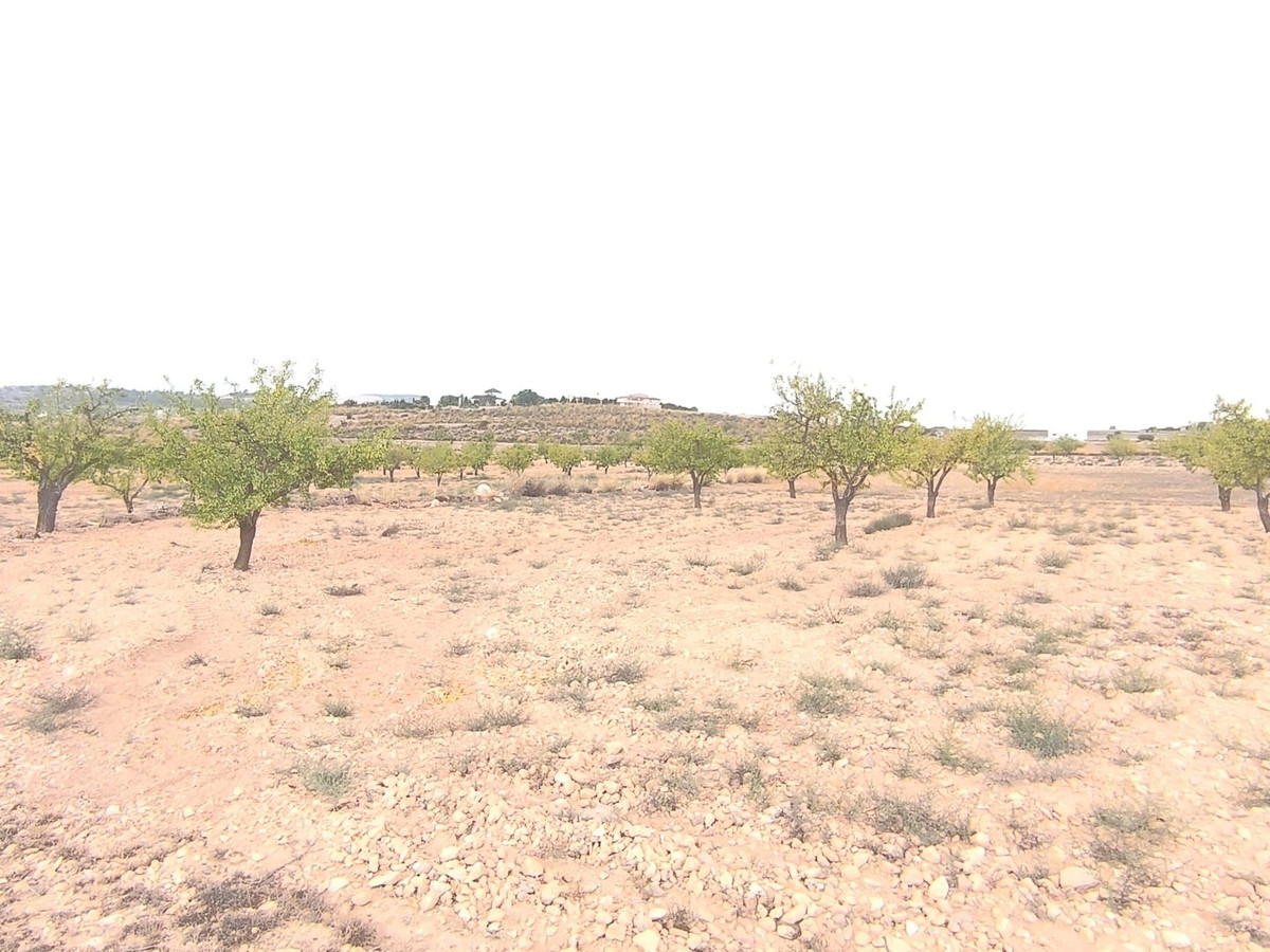 Plots for sale in Pinoso Costa Blanca, Alicante, Spain
