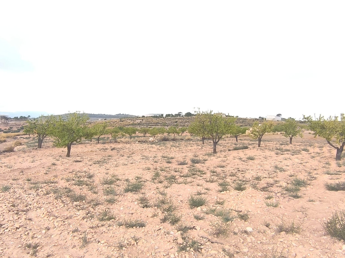Plots for sale in Pinoso Costa Blanca, Alicante, Spain