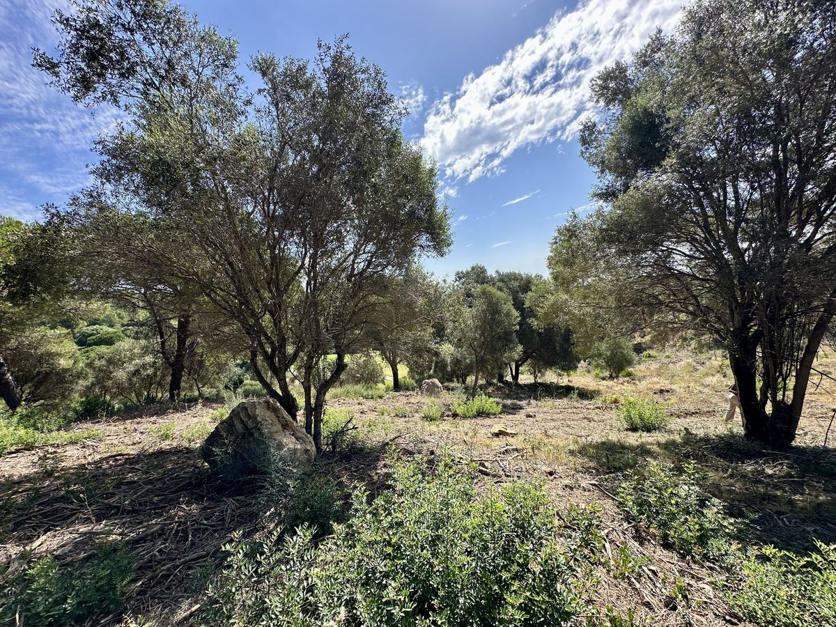 Se vende Terreno Rustico  en Costa Del Sol, Cadiz, España
