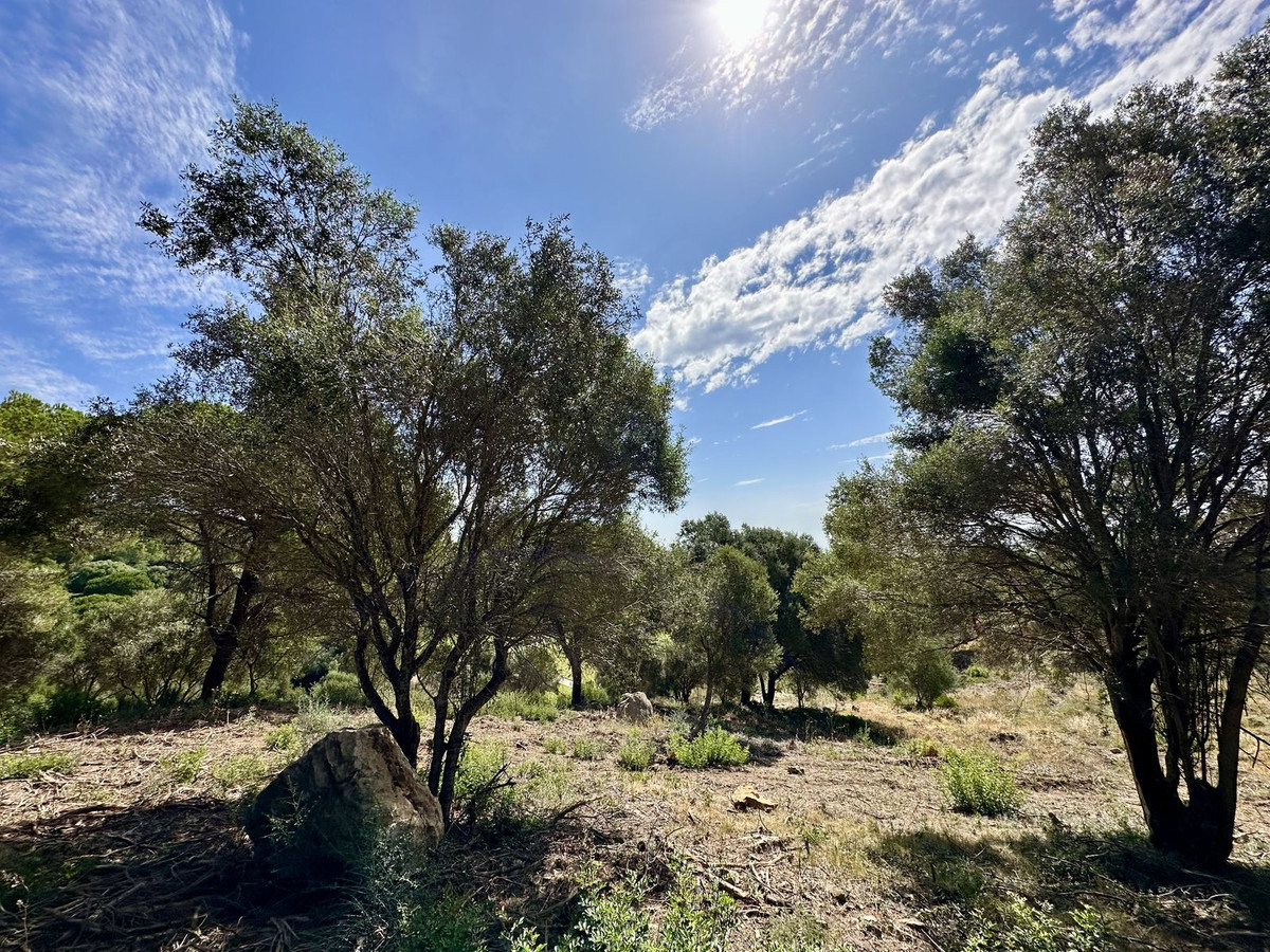 Se vende Terreno Rustico  en Costa Del Sol, Cadiz, España