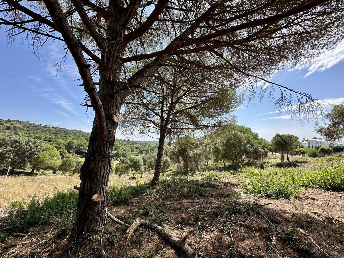 Se vende Terreno Rustico  en Costa Del Sol, Cadiz, España