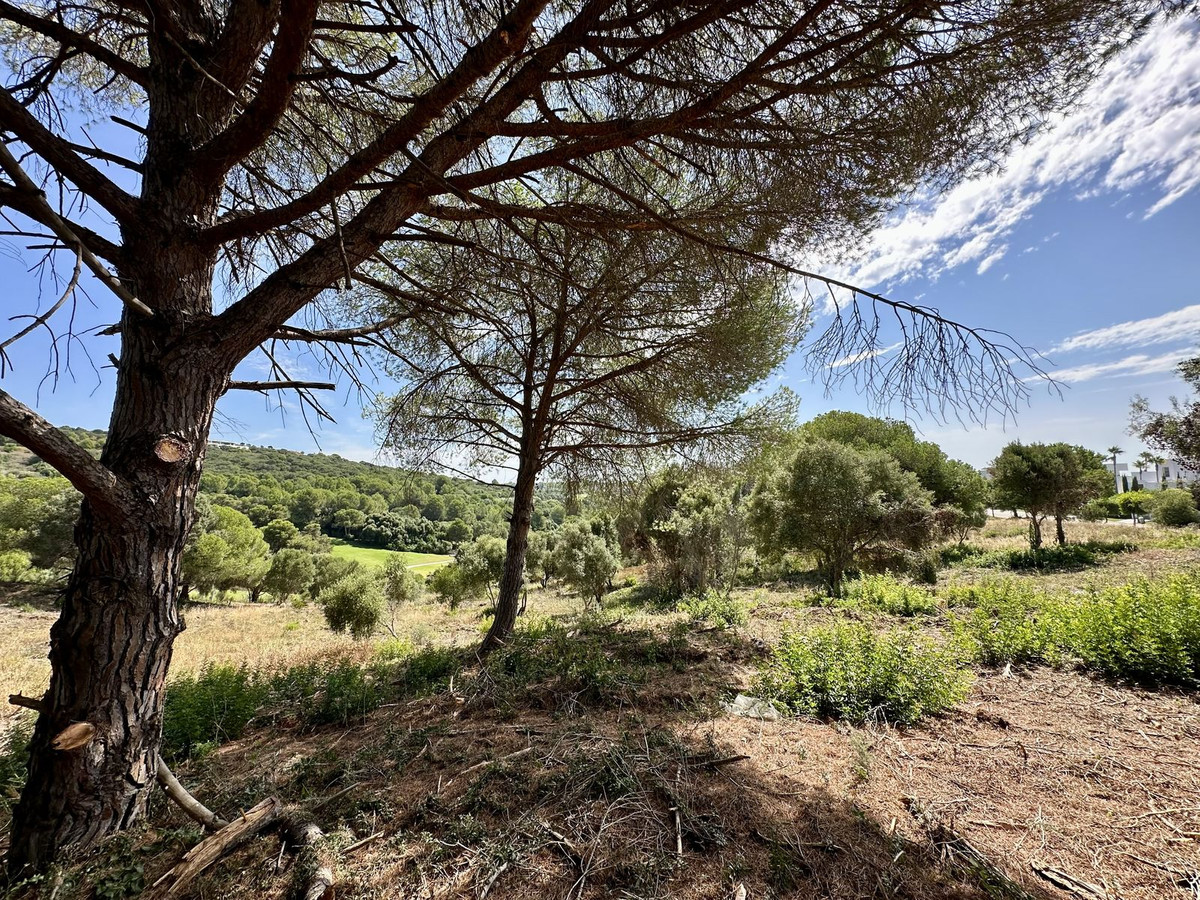 Se vende Terreno Rustico  en Costa Del Sol, Cadiz, España