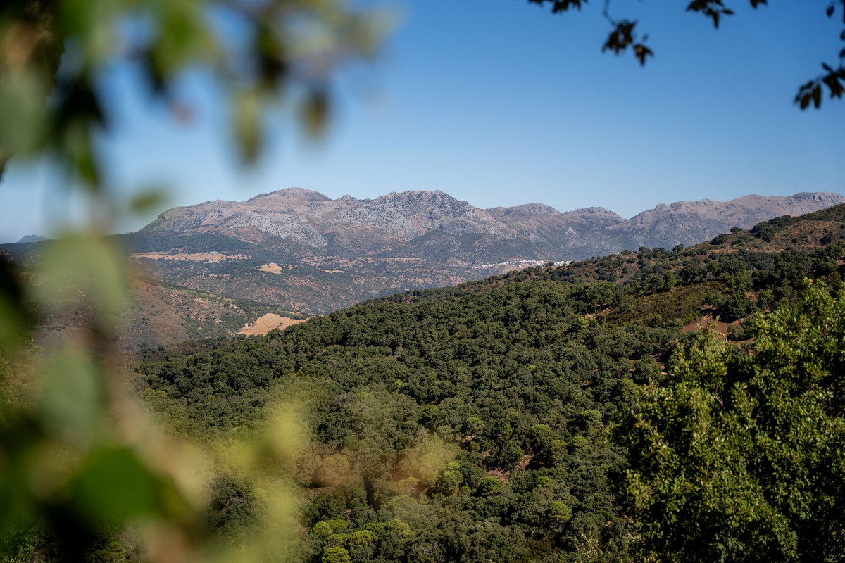 Se vende Villa - Chalet de 4 dormitorios en Costa Del Sol, Málaga, España