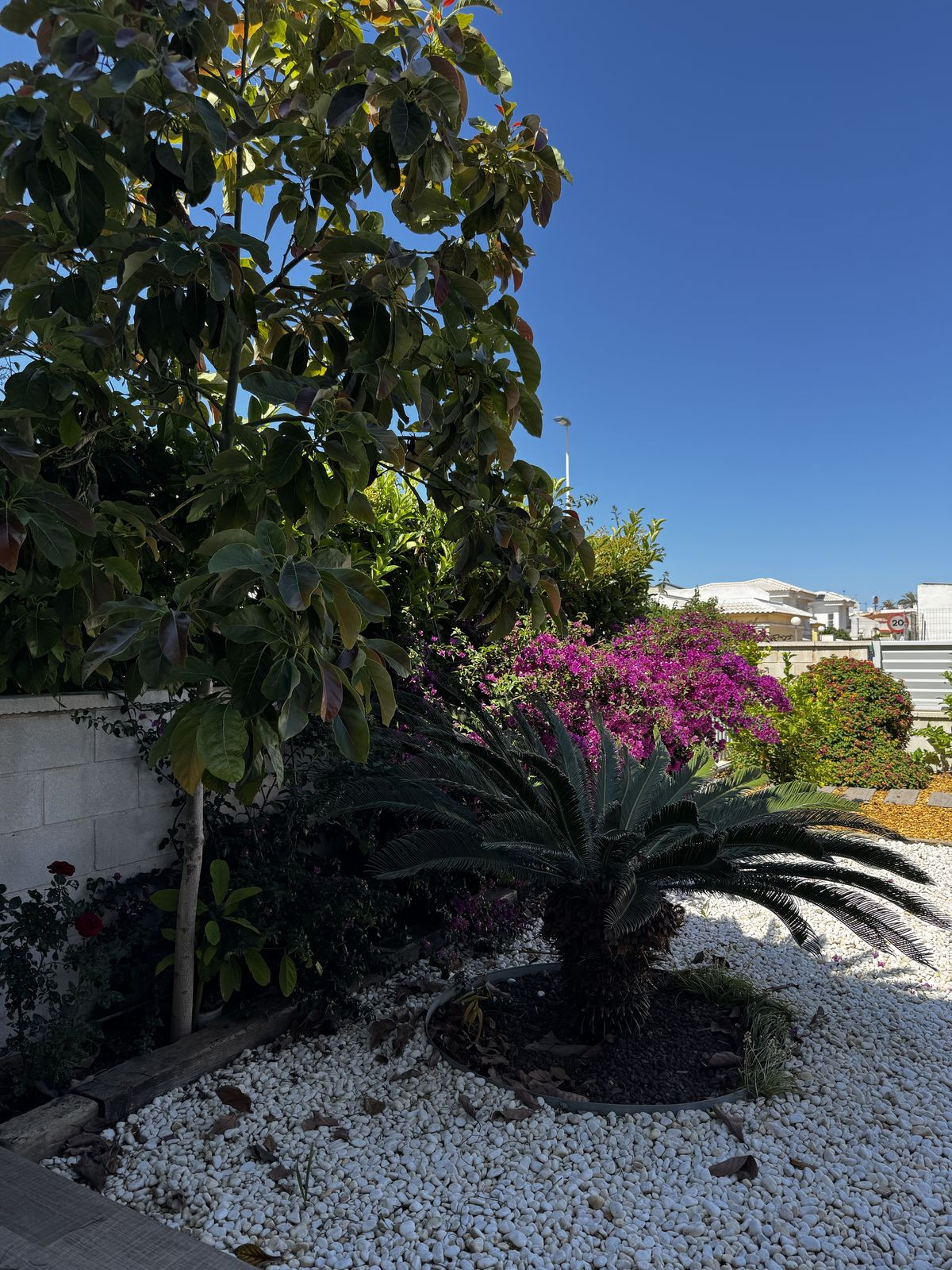 3 Bed Apartment for sale in Torrevieja Costa Blanca, Alicante, Spain