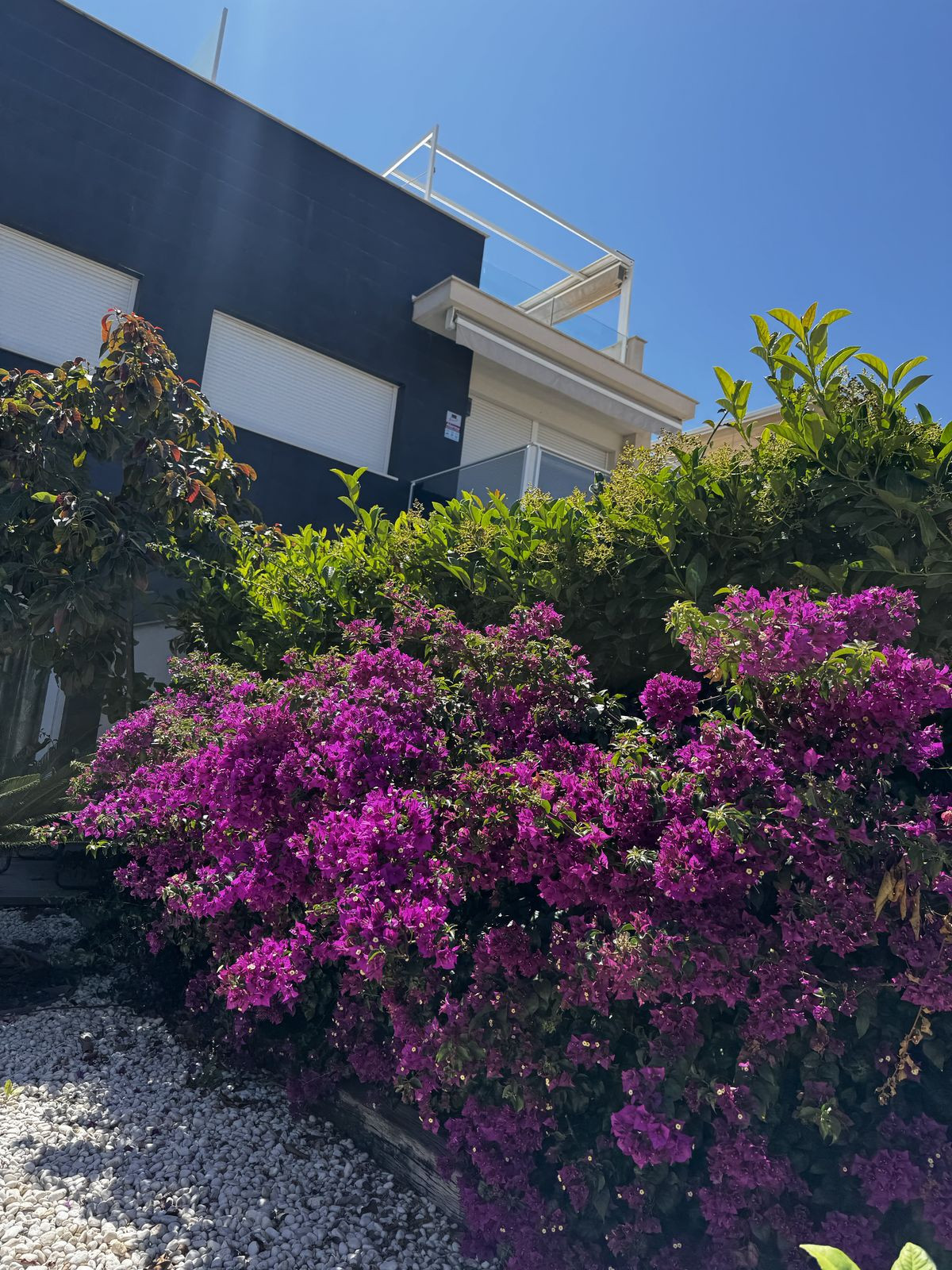 3 Bed Apartment for sale in Torrevieja Costa Blanca, Alicante, Spain