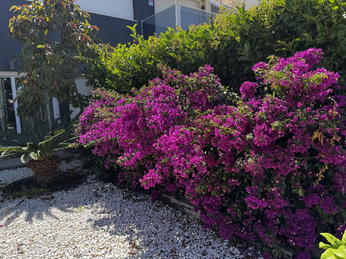 3 Bed Apartment for sale in Torrevieja Costa Blanca, Alicante, Spain