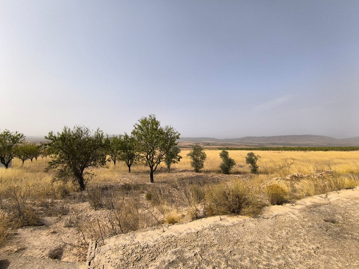 Se vende Terreno Rustico  en Costa Calida, Murcia, España