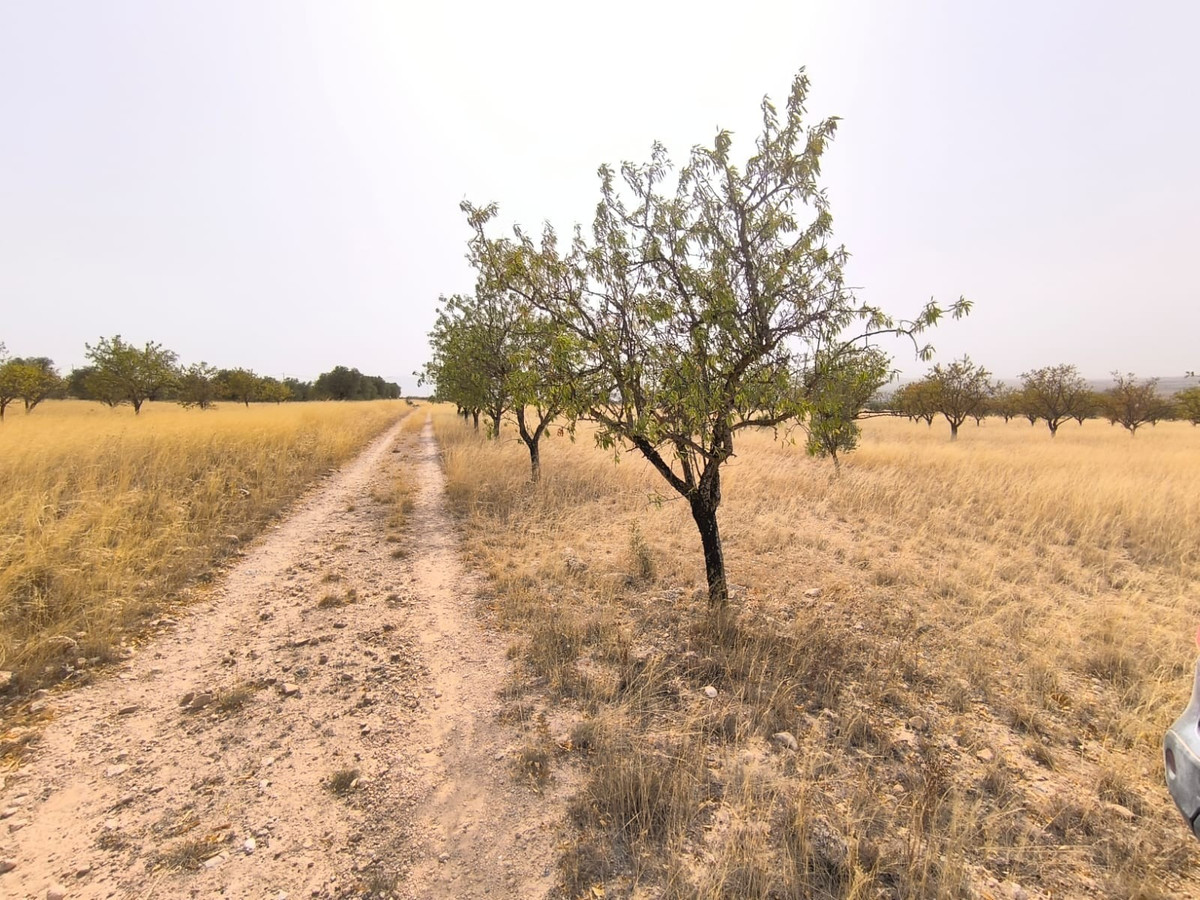 Se vende Terreno Rustico  en Costa Calida, Murcia, España