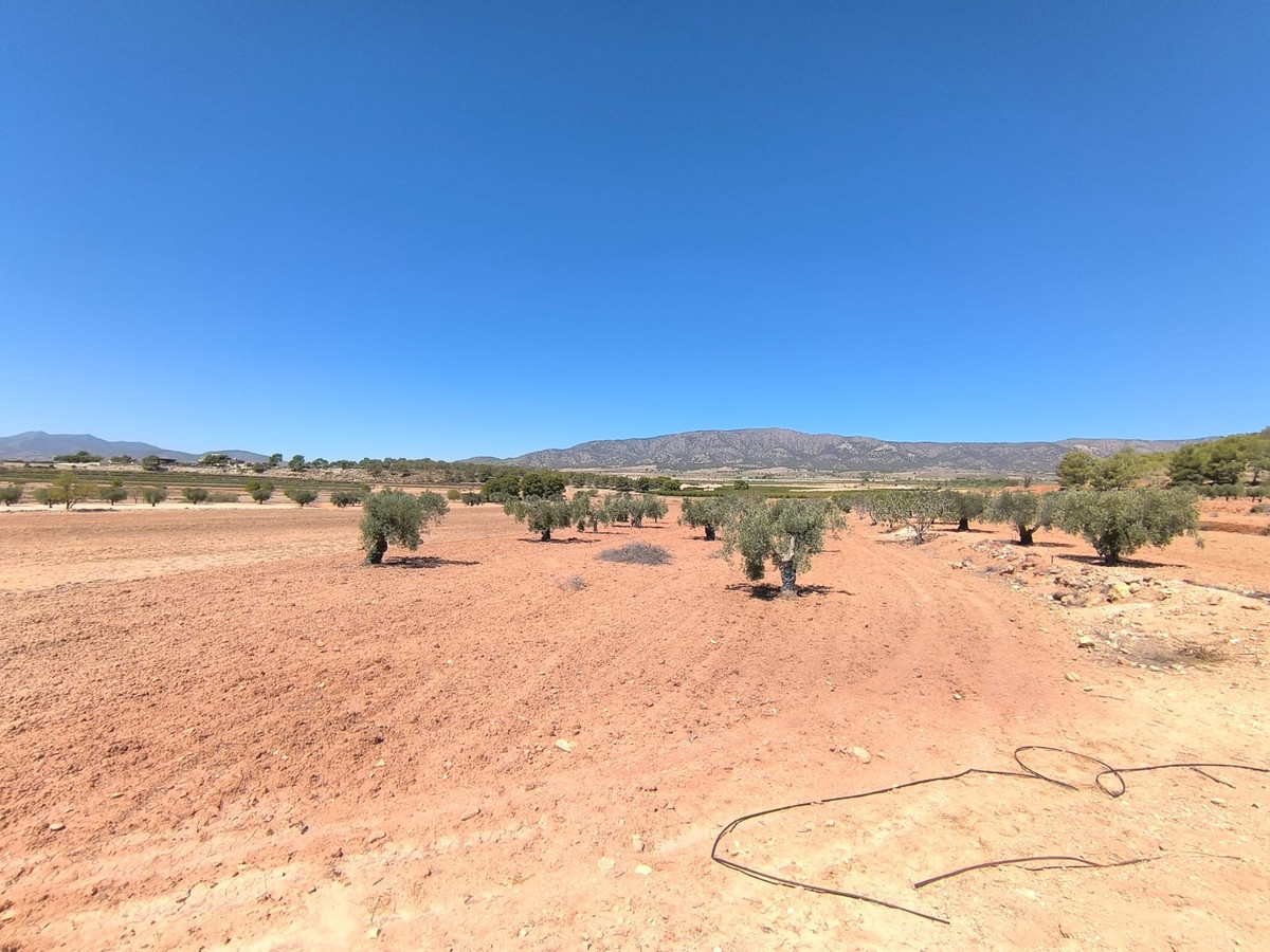 Plots for sale in Monóvar Costa Blanca, Alicante, Spain