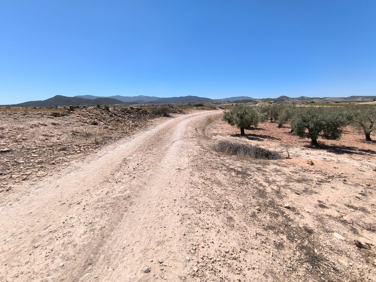 Plots for sale in Monóvar Costa Blanca, Alicante, Spain