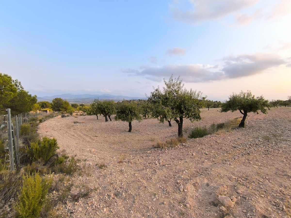 Se vende Terreno Rustico  en Costa Blanca, Alicante, España