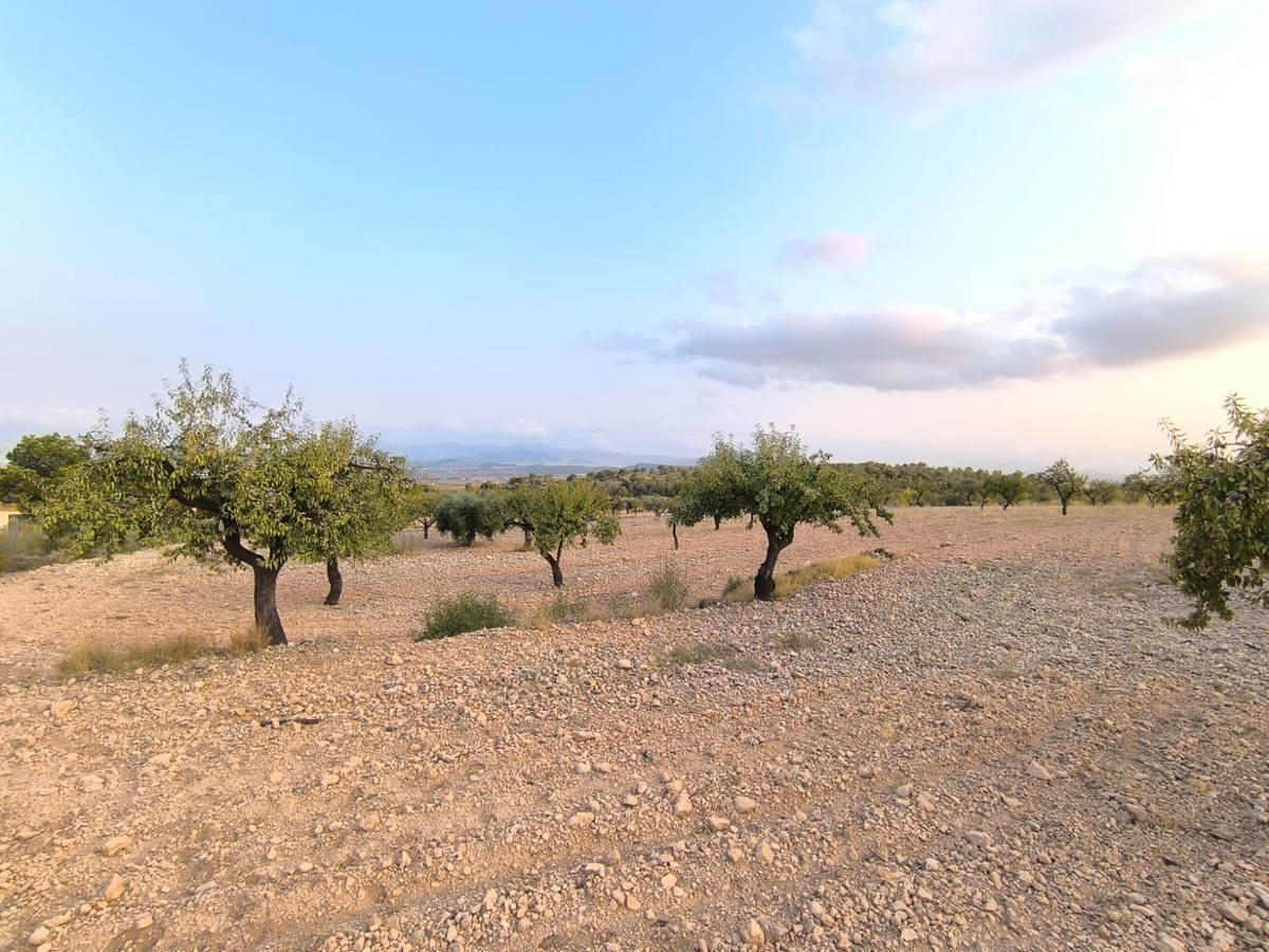 Se vende Terreno Rustico  en Costa Blanca, Alicante, España