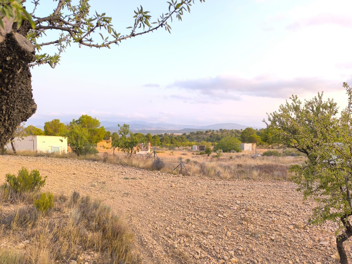 Se vende Terreno Rustico  en Costa Blanca, Alicante, España