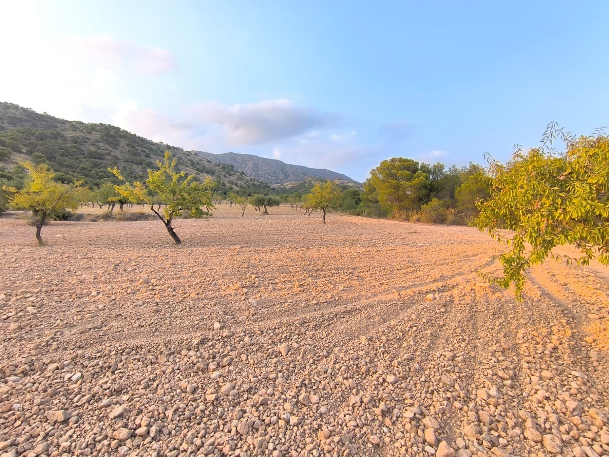 Se vende Terreno Rustico  en Costa Blanca, Alicante, España