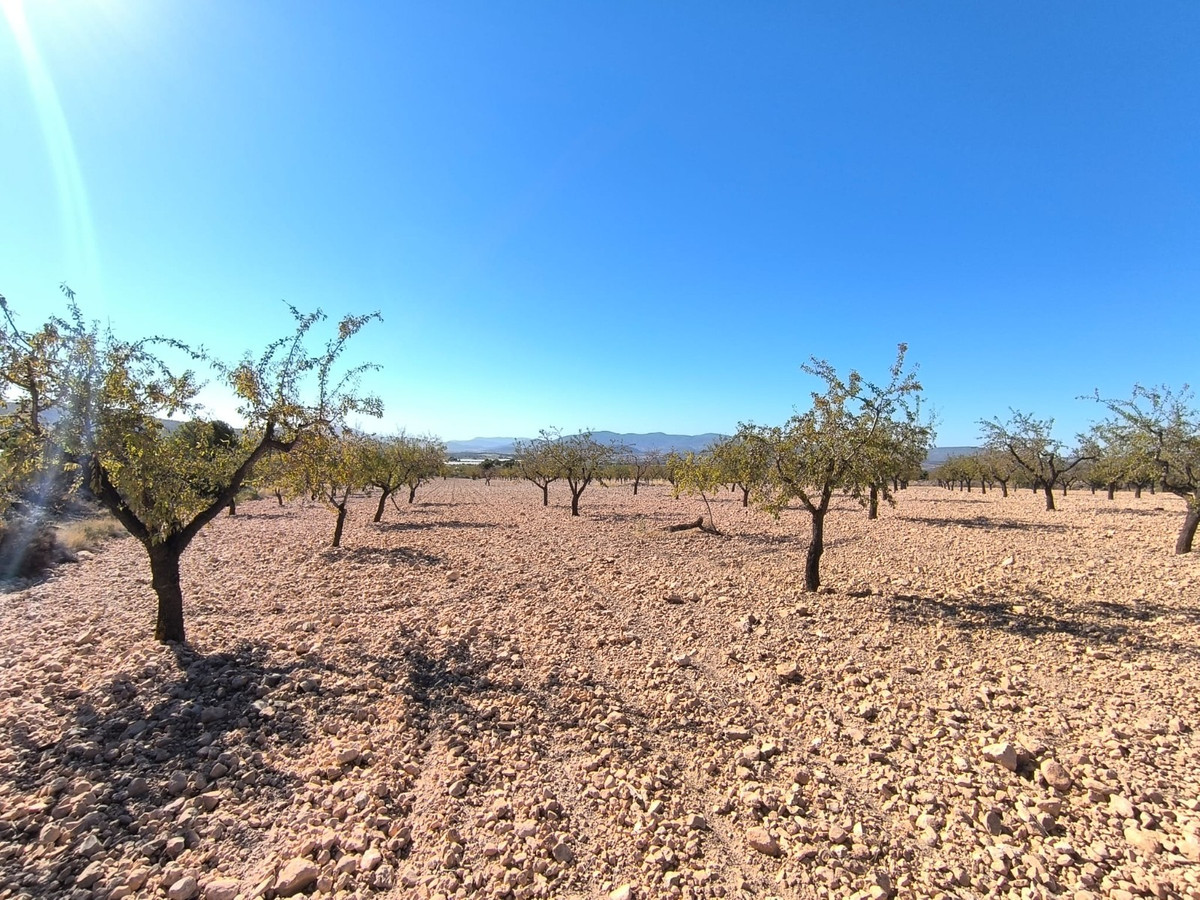 Se vende Terreno Rustico  en Costa Blanca, Alicante, España