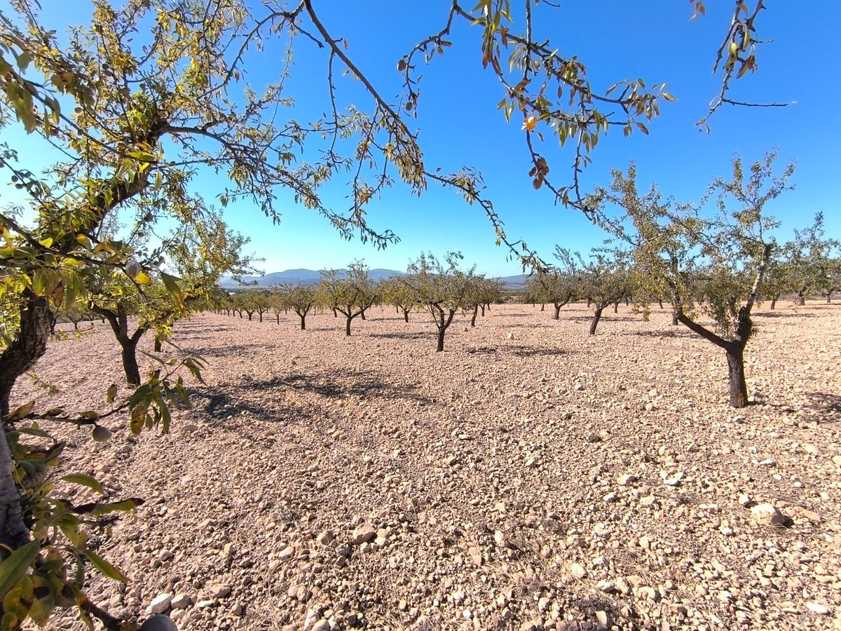 Se vende Terreno Rustico  en Costa Blanca, Alicante, España