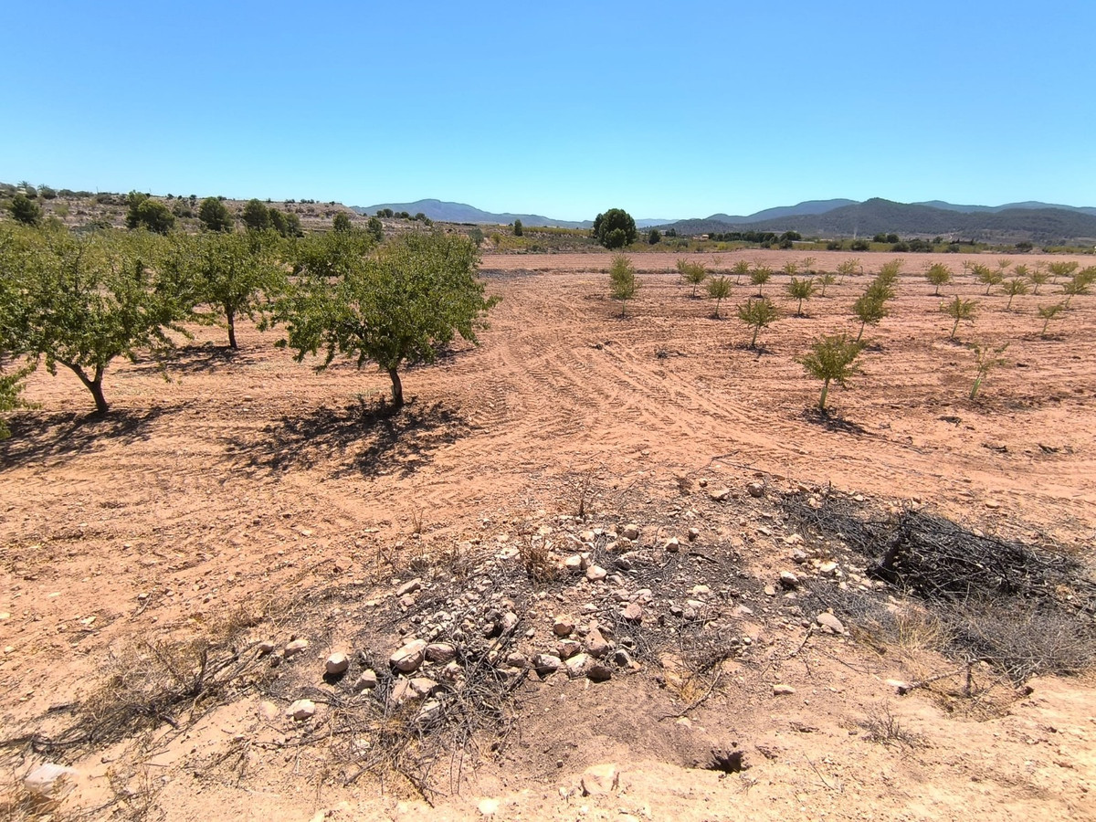 Se vende Terreno Rustico  en Costa Blanca, Alicante, España