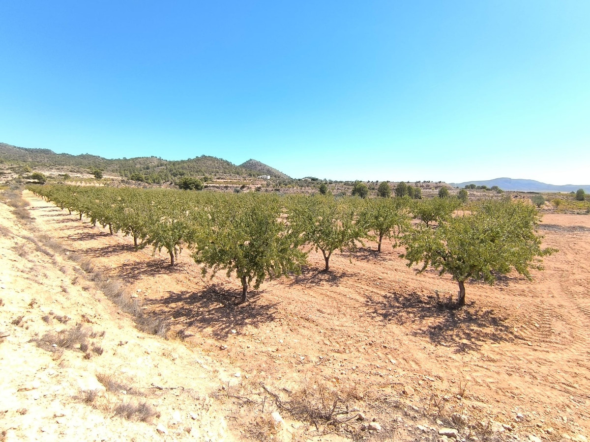 Se vende Terreno Rustico  en Costa Blanca, Alicante, España