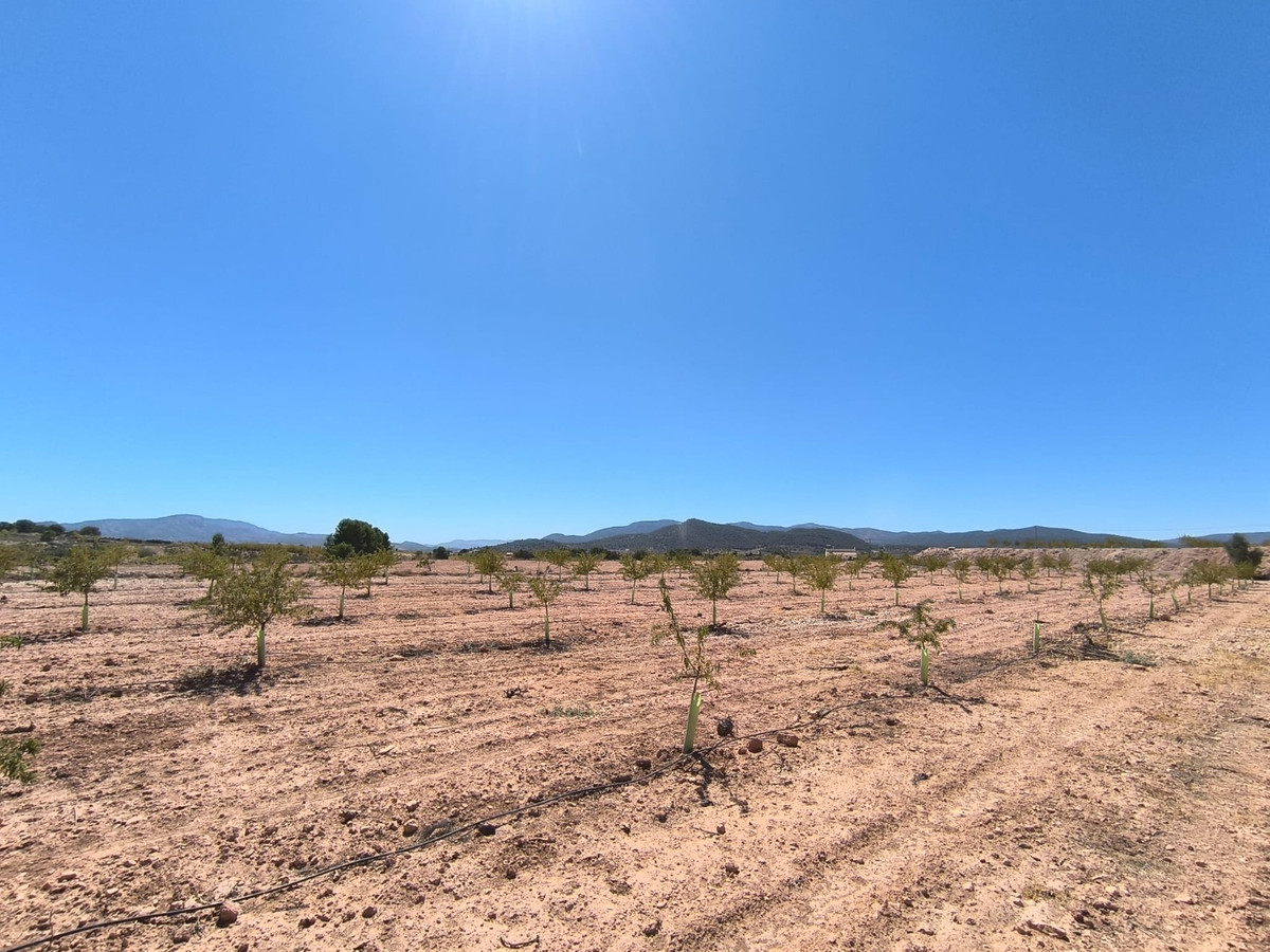 Se vende Terreno Rustico  en Costa Blanca, Alicante, España