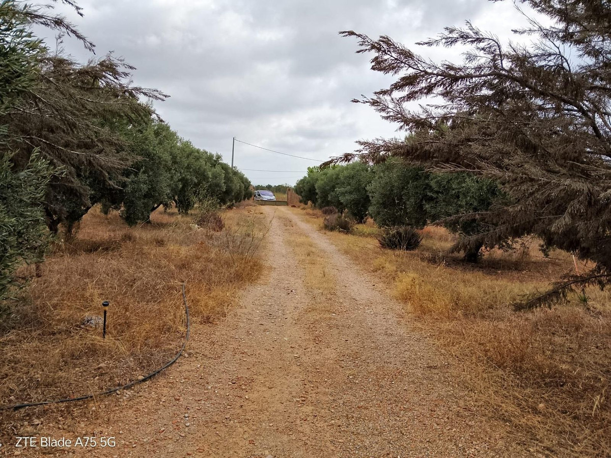Se vende Finca - Cortijo de 4 dormitorios en Costa Calida, Murcia, España