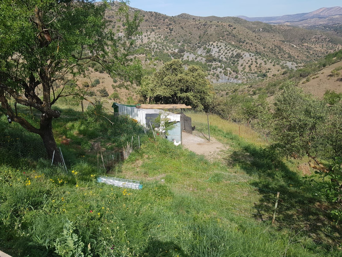 Se vende Terreno Rustico  en Costa Del Sol, Málaga, España