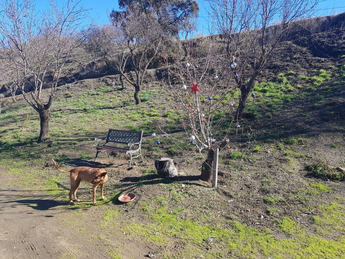 Se vende Terreno Rustico  en Costa Del Sol, Málaga, España