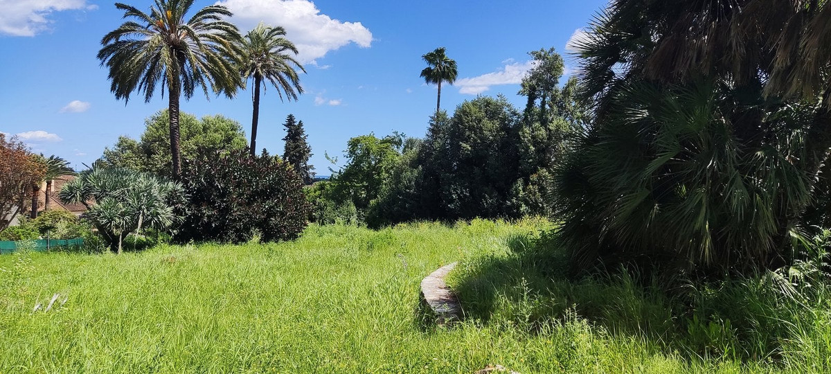 Plots for sale in Sotogrande Costa Del Sol, Cádiz, Spain